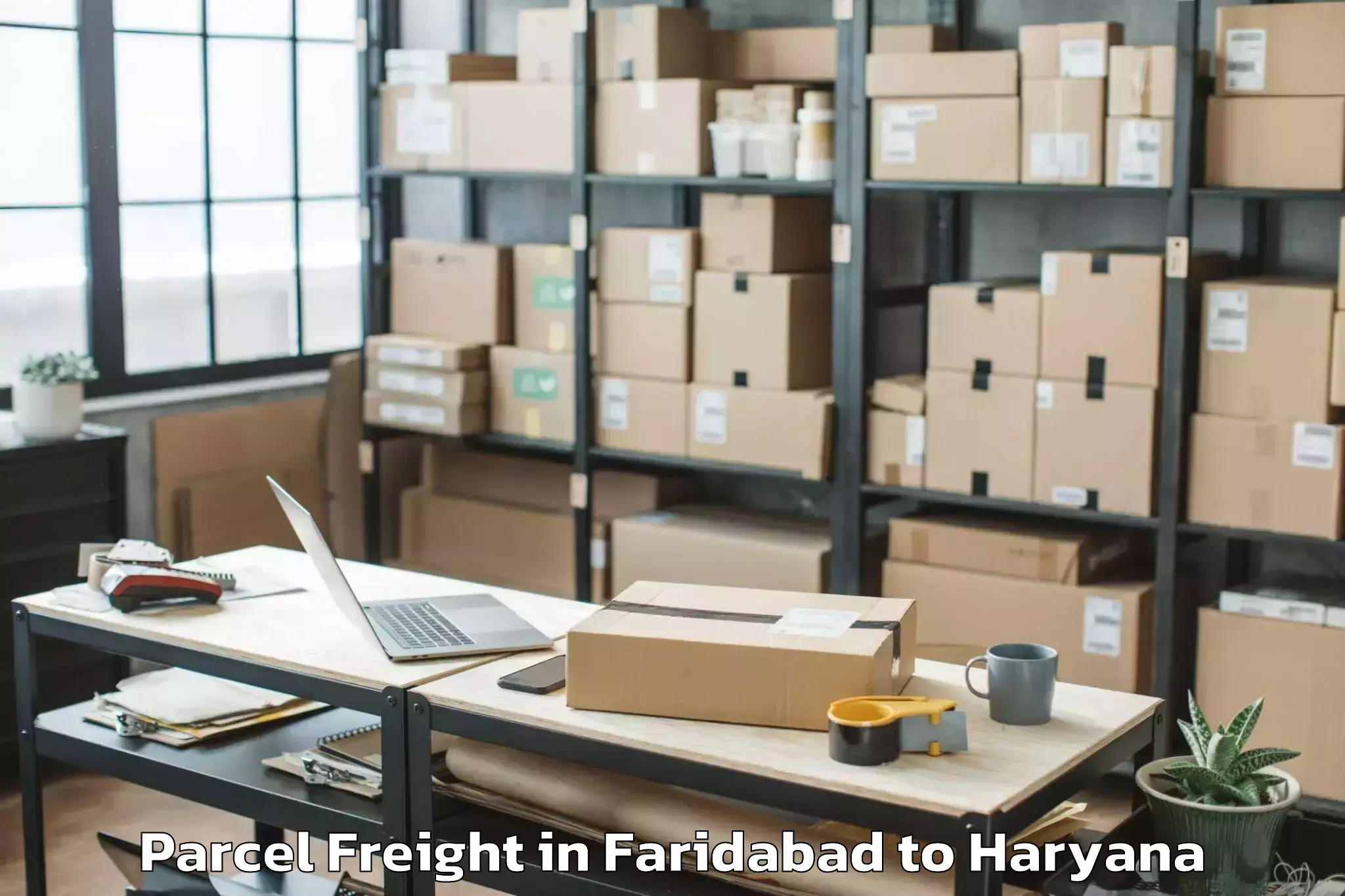 Reliable Faridabad to Uklana Parcel Freight